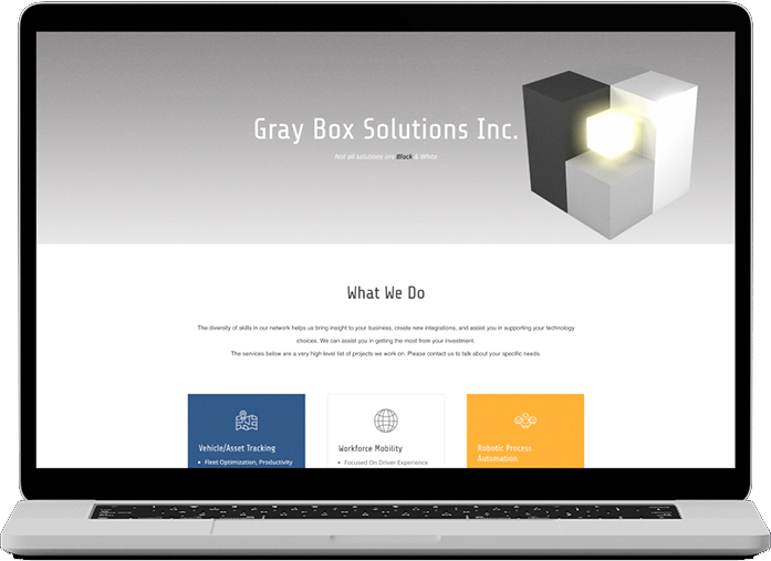 Gray Box Solutions website, before